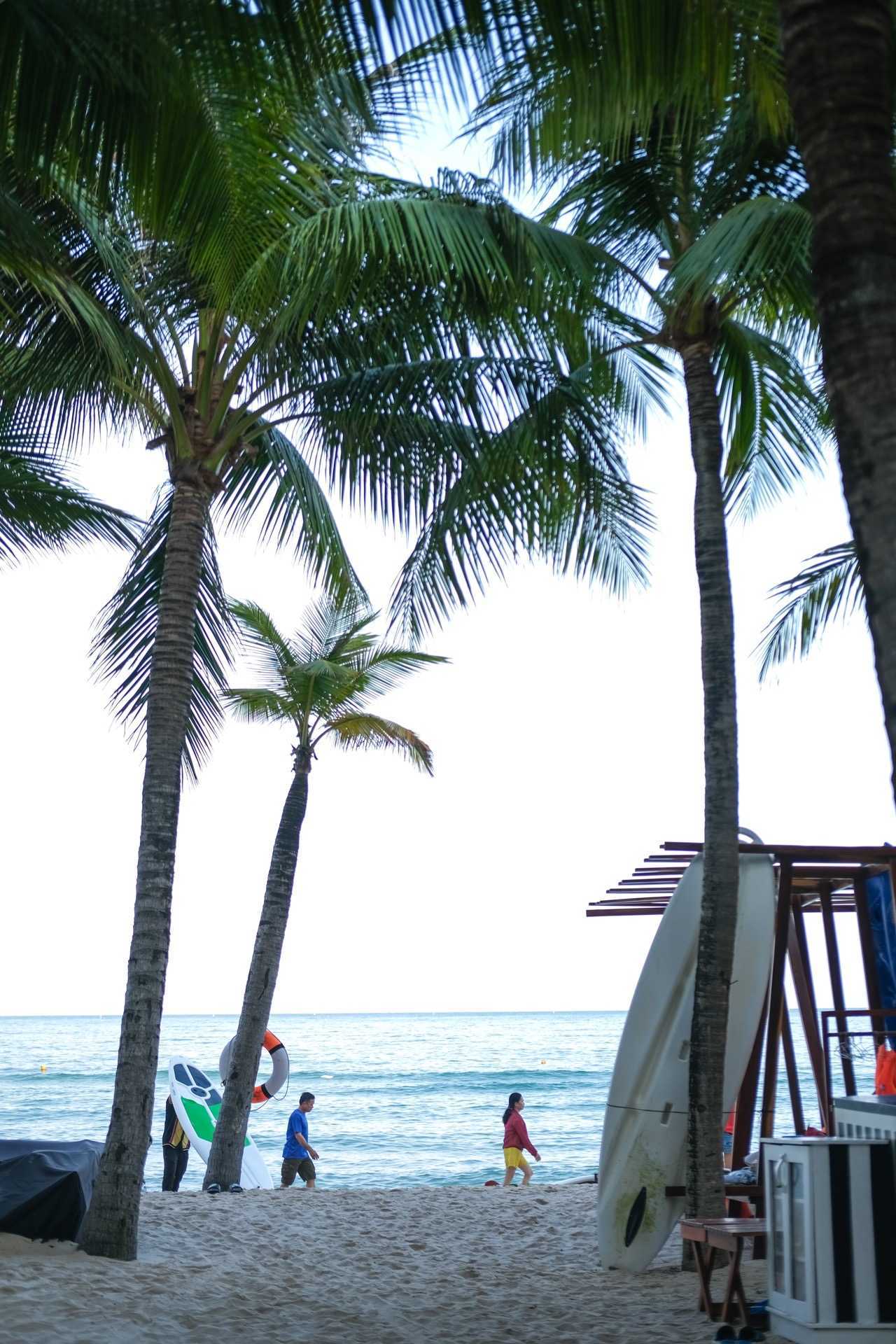 越南初体验|在富国岛的日子,和这样那样的"第一次"