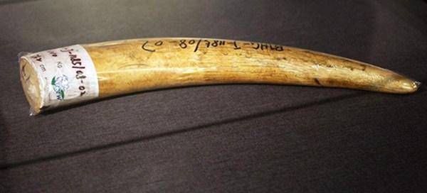 竟是价值千万的御用品,主动上交后获得荣誉证书一本_席子_老汉_象牙