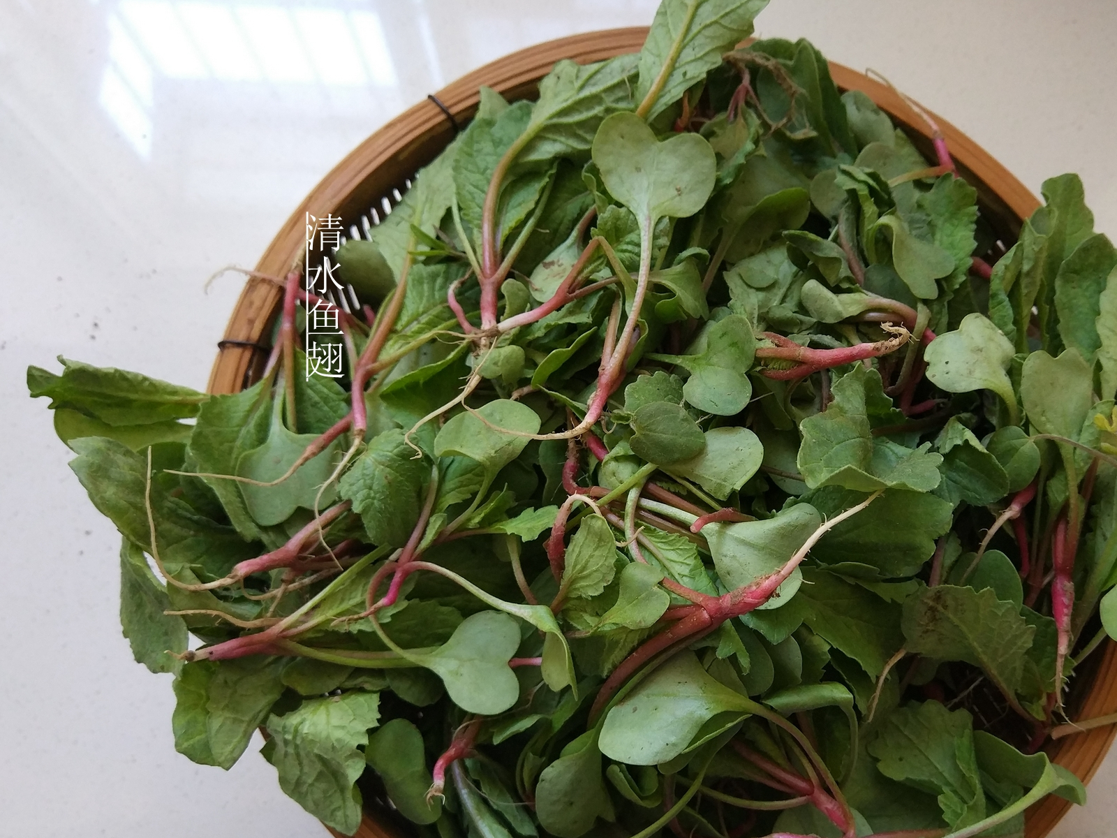 一年只几天见得着,含钙是牛奶3倍,做汤太鲜美了_水萝卜_金针菇_肉片