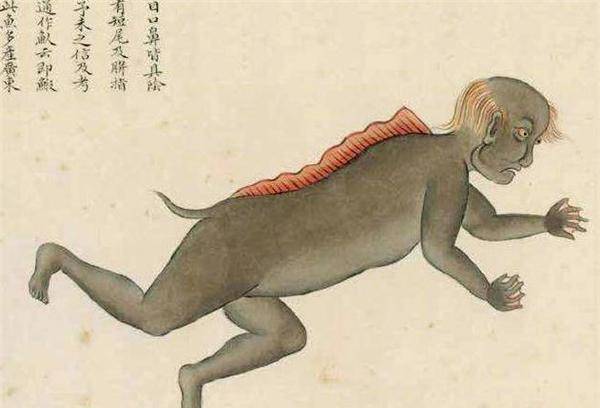 年轻人性子急,说干就干,他们当场就把这条鱼开膛破肚,丢进锅里煮汤.