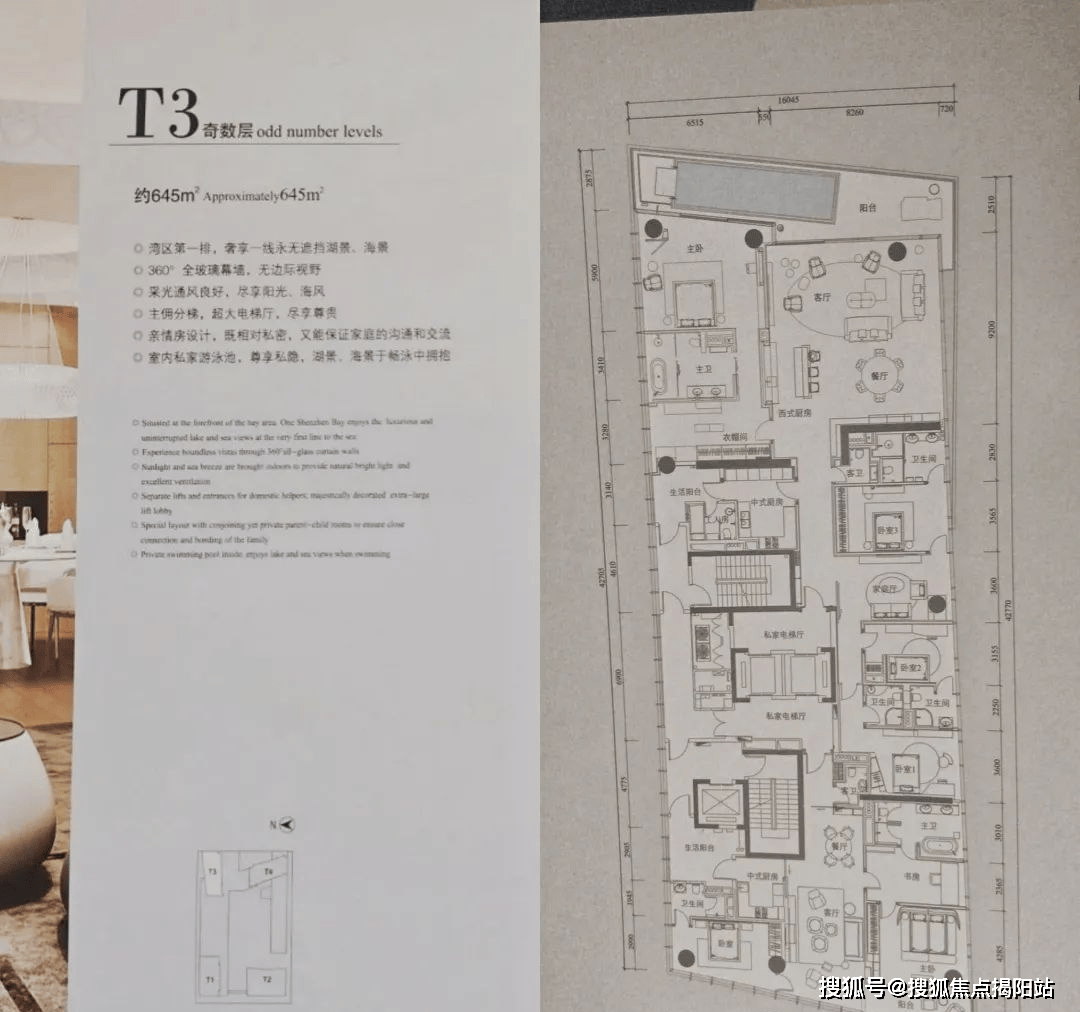 深圳湾1号莱佛士公寓深圳房价户型图样板间规划图交房项目配套