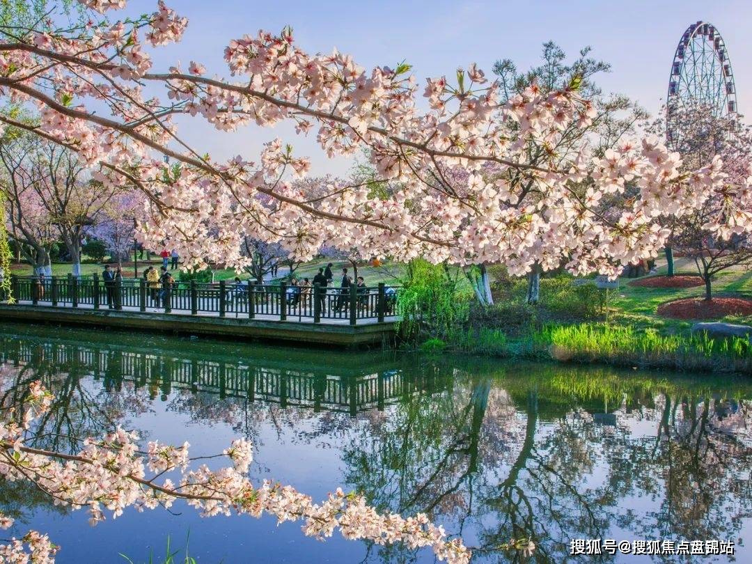 壁纸 花 桌面 1080_810