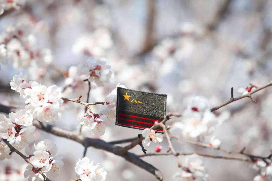 军队文职备考壁纸这不就有了?多图预警!