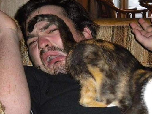 这痛苦的表情真让人心疼.是不是每天你下班回到家后的场景?