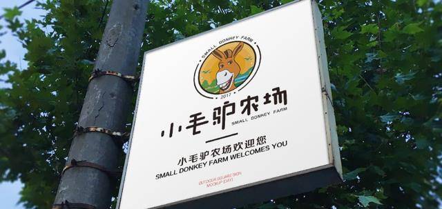 原创清华女博士回乡种地遭他人反对和嘲笑如今年入9百万打脸众人