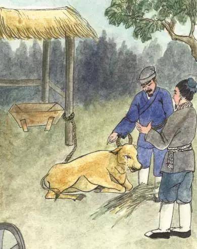 农民报案牛舌头被人偷了包拯把牛宰了小偷自然会来自首