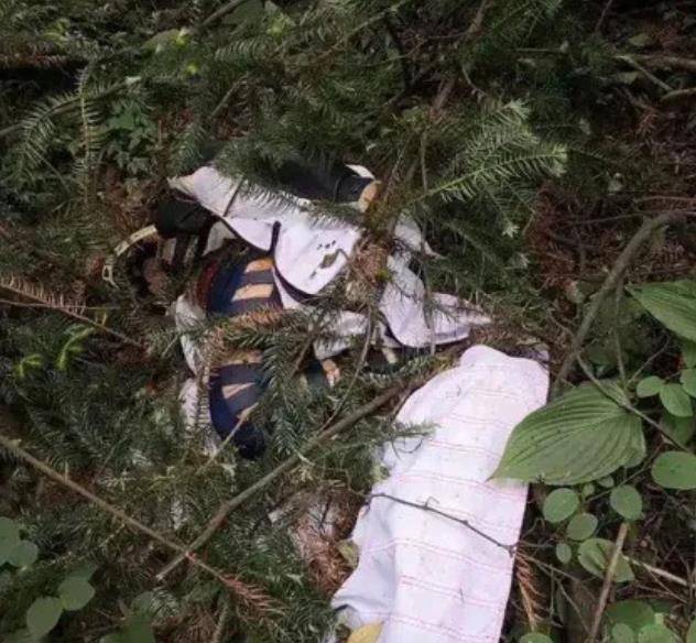 原创2020年大四女生刘安天门山翼装飞行时遇难极限运动值得吗