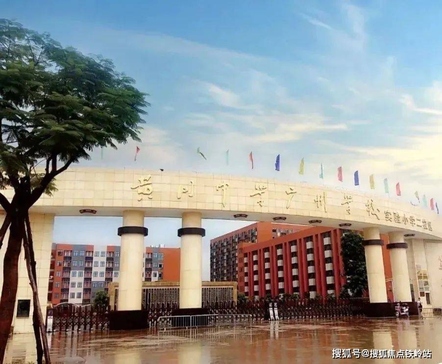 5%!作为分校的黄冈中学广州学校,表现也相当出色.