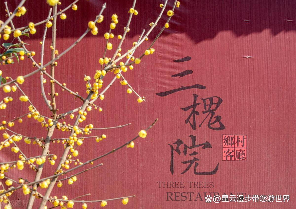 成都玩乐攻略幸福梅林与新都桂湖领略自然之美与古韵之魅