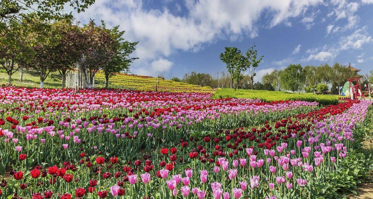 附近花海旅游景点图片