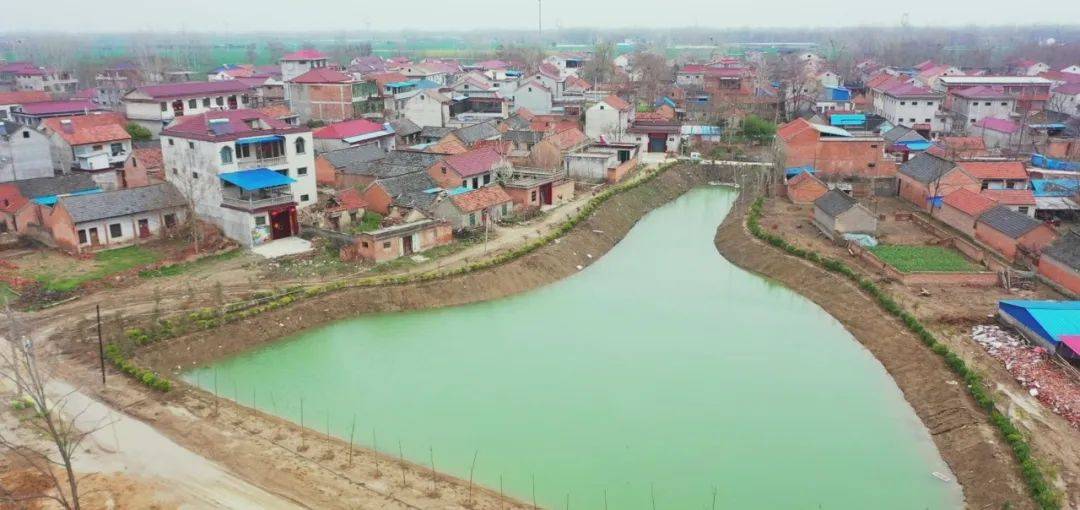 郸城县虎岗乡开展国土绿化提升人居环境