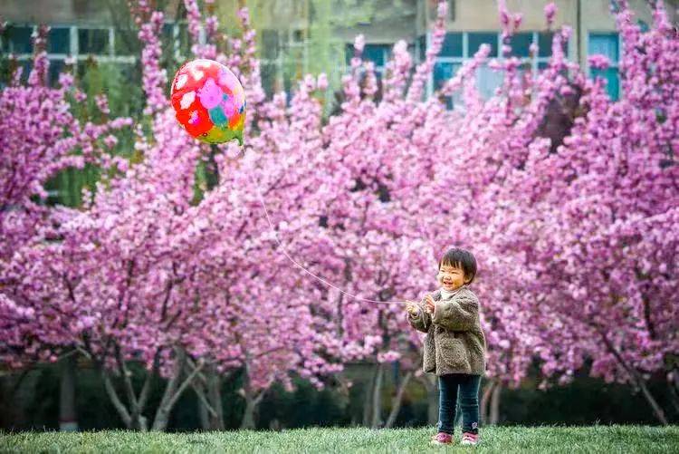一键解锁运城清明赏花踏青打卡地
