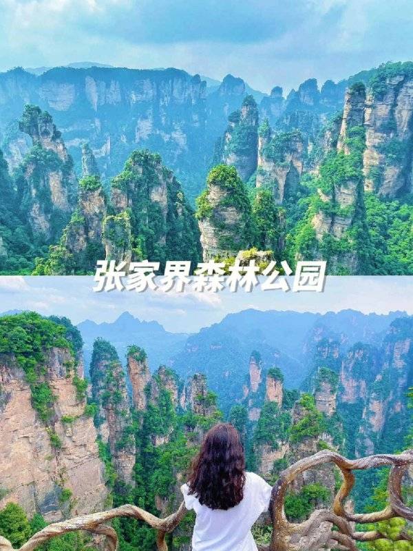 张家界五天旅游参团费用张家界5日游旅行价格人均1000元看完攻略全