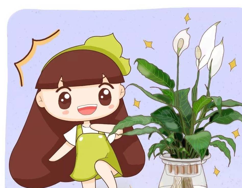 这18种花丢水里长的欢越浇越爆盆