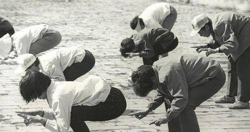 原创从董事长到气功大师66岁的闫芳究竟是冠绝武林还是欺世盗名