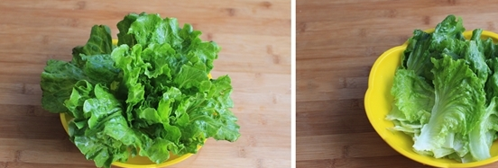 生菜_蔬菜_其它