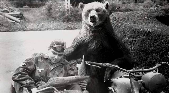 原创二战熊大兵徒手抱45公斤炸弹抽烟喝酒屡立奇功还被晋升下士