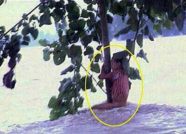 原创98年特大洪灾中那位7岁女孩抱树9小时获救最后结局如何