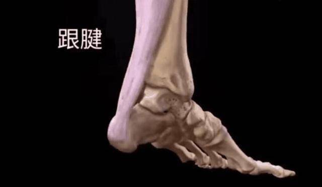 原创150天的跟腱修复术现在5天便治愈西安首例跟腱断裂通道微创吻合术