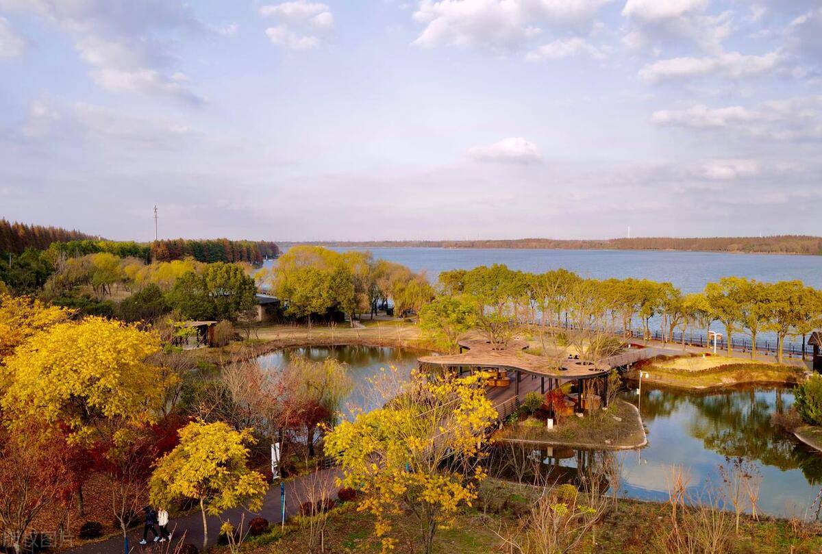 探寻魔都周边宝藏上海附近不容错过的游玩胜地推荐