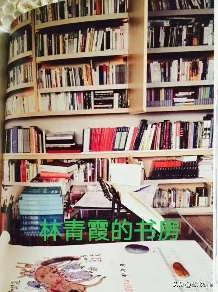 网上还流传一张林青霞在家请作家莫言在家吃饭的照片,这个餐厅的装修