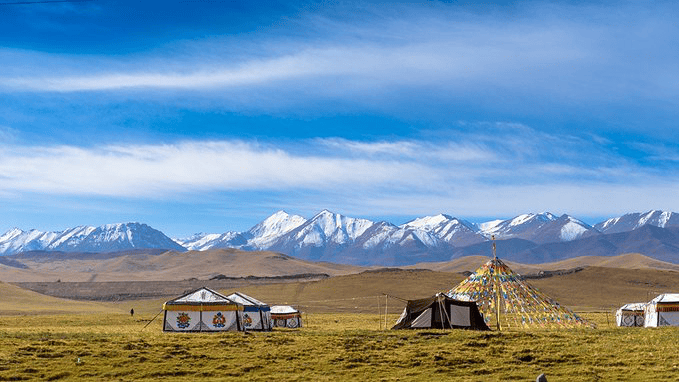 d7:张掖—途径扁都口—祁连大草原—远观岗什卡雪山—门源油菜花(七