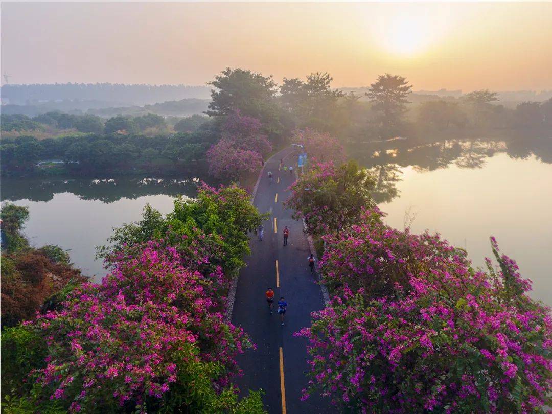 这条线路玩一圈,爱上东莞的春天了_大朗镇_湿地_公园