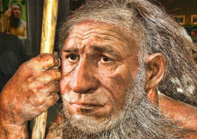 尼安德特_动物_欧洲