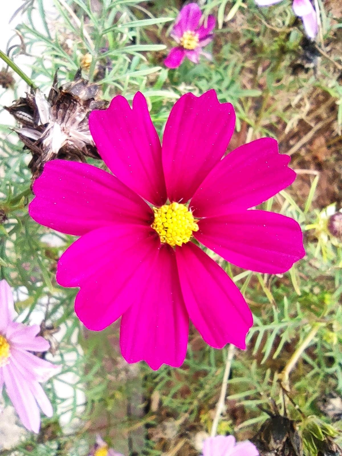 普通人辟谷故事270心态变了我的身体和家庭也变了