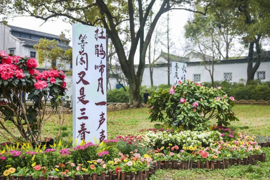 精雅苏州·鹃秀拙政 第28届拙政园杜鹃花展开幕
