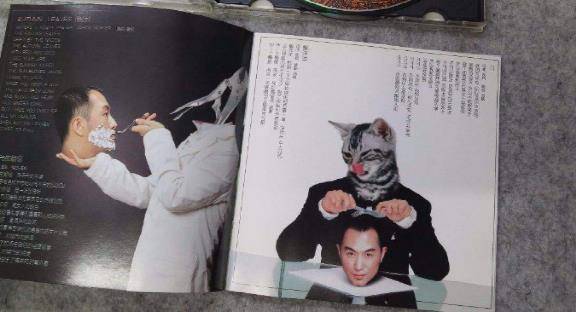 "笨小孩"高枫的短暂人生,和他与章子怡的情感谜团