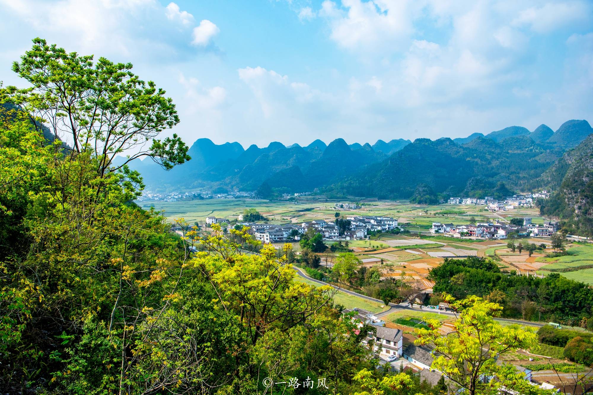 杜鹃_风景区_百里