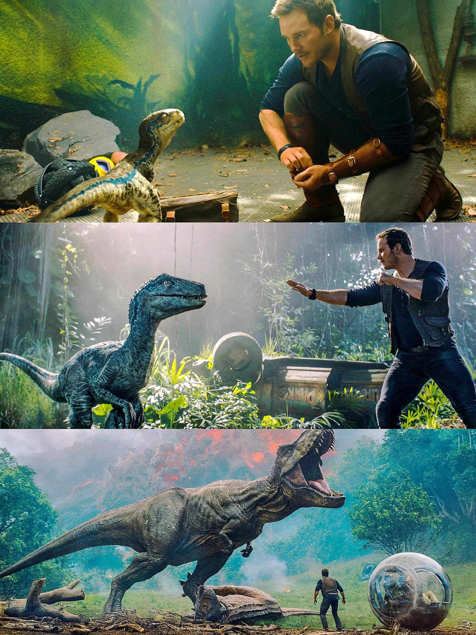 总体而言,布莱丝·达拉斯·霍华德是一位才华横溢,多才多艺的演员和创