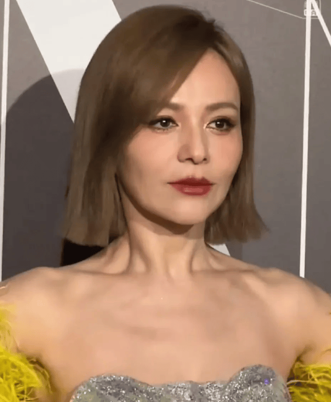 53岁雪姨王琳惊艳亮相,状态年轻如35岁