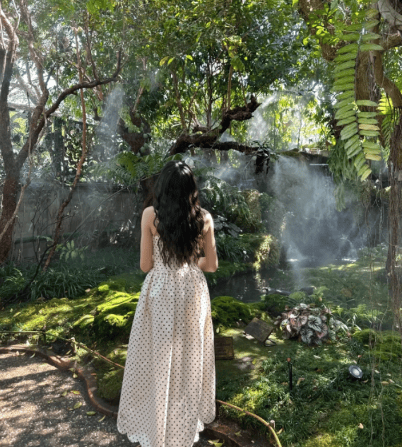 去泰国清迈旅游四天三晚怎么玩清迈4日游攻略路线美食推荐