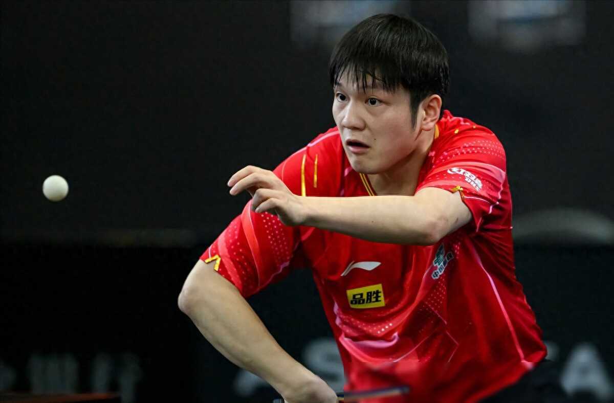 原创球探樊振东因伤退出巴黎奥运职业生涯受多大影响