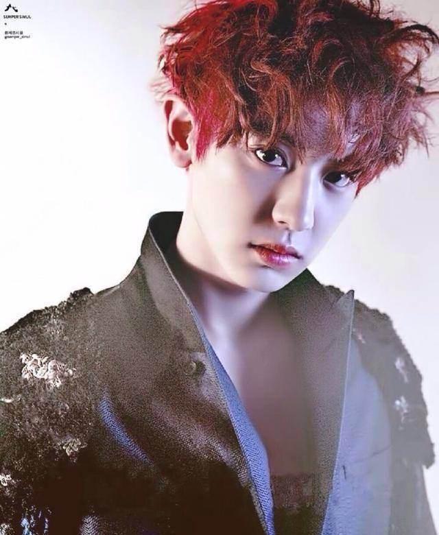 exo朴灿烈被要求退团,中韩粉丝态度截然不同,澄清被说成是道歉_真相