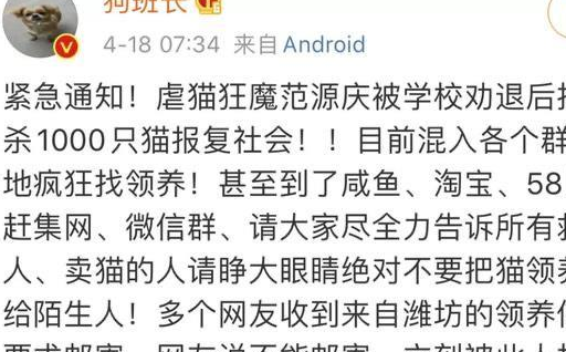 大学生虐猫事件后,虐猫群里仍然有人说:我想虐婴儿