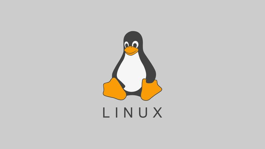 10分钟带你了解linux系统中的top命令