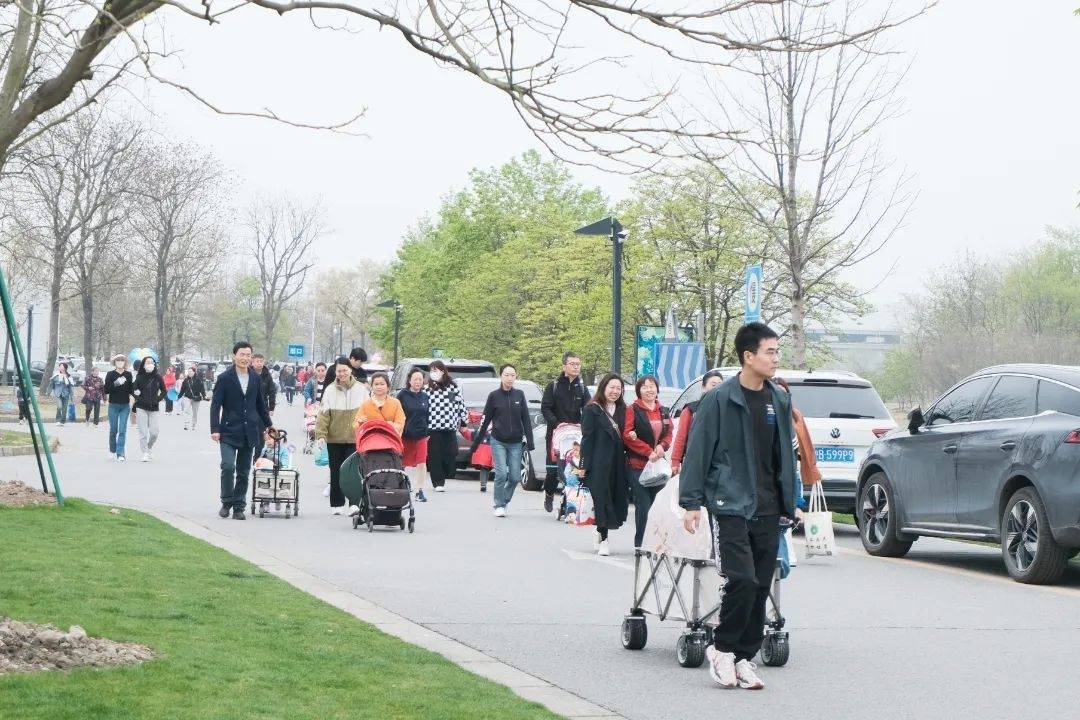 人从众昨天5万人来松江这里打卡