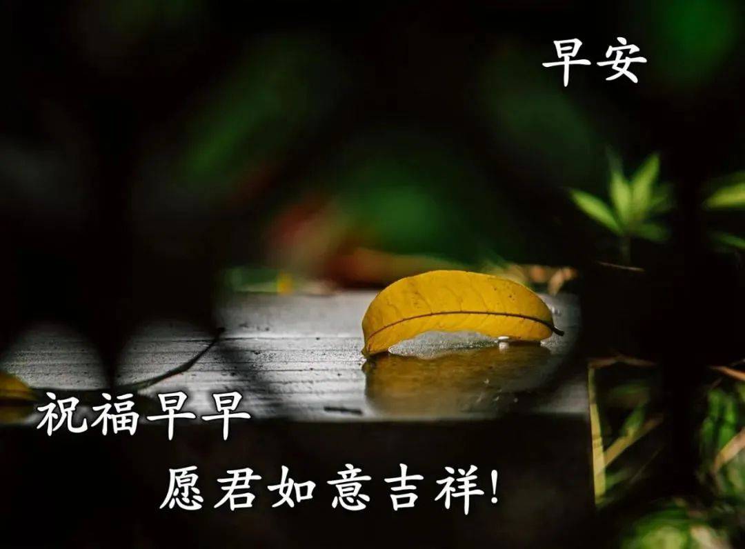 原创8张最新漂亮春日清晨风景早上好图片带祝福语