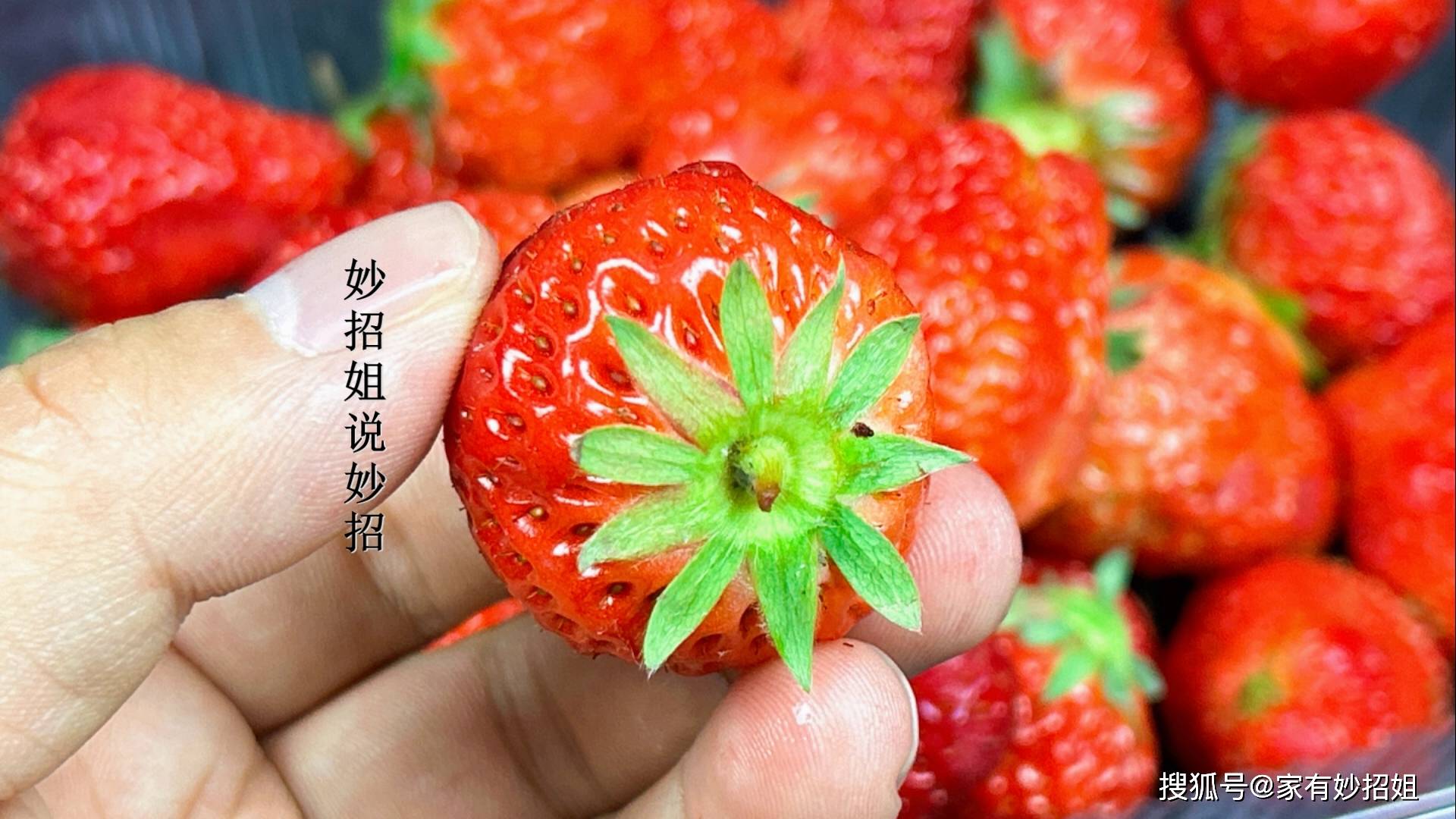 洗草莓切记,千万不要先摘掉草莓蒂,草莓在清洗之前保留蒂部是很重要的