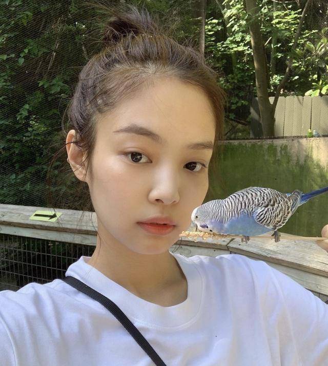 jennie长相图片