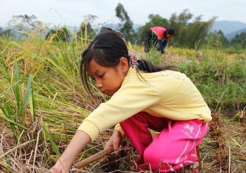 俗语生个儿子好听生个女儿命好究竟儿子好还是女儿好