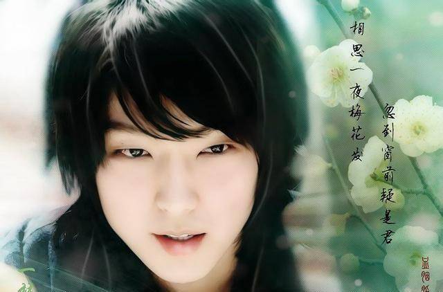 原创盗帅一枝梅问世间情为何物英雄的爱情与爱情的英雄