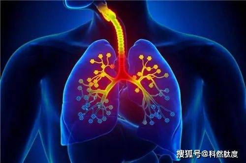 人体内的四把火如何灭