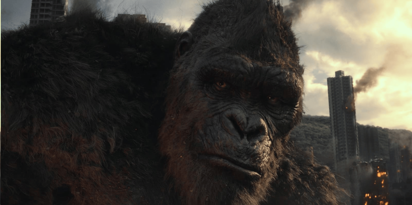 打破10项纪录史诗级爽片小长假必看的哥斯拉大战金刚2