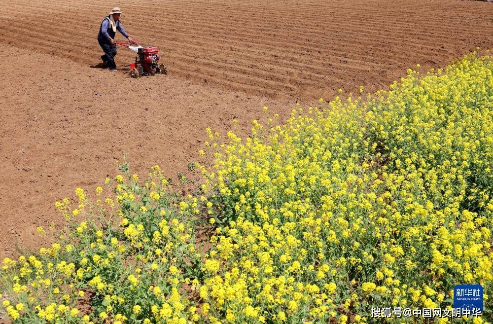 从北到南的春耕"渐变色"_东北_全国_时节