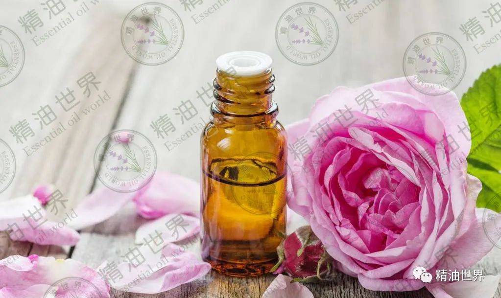 哪些精油祛斑效果好