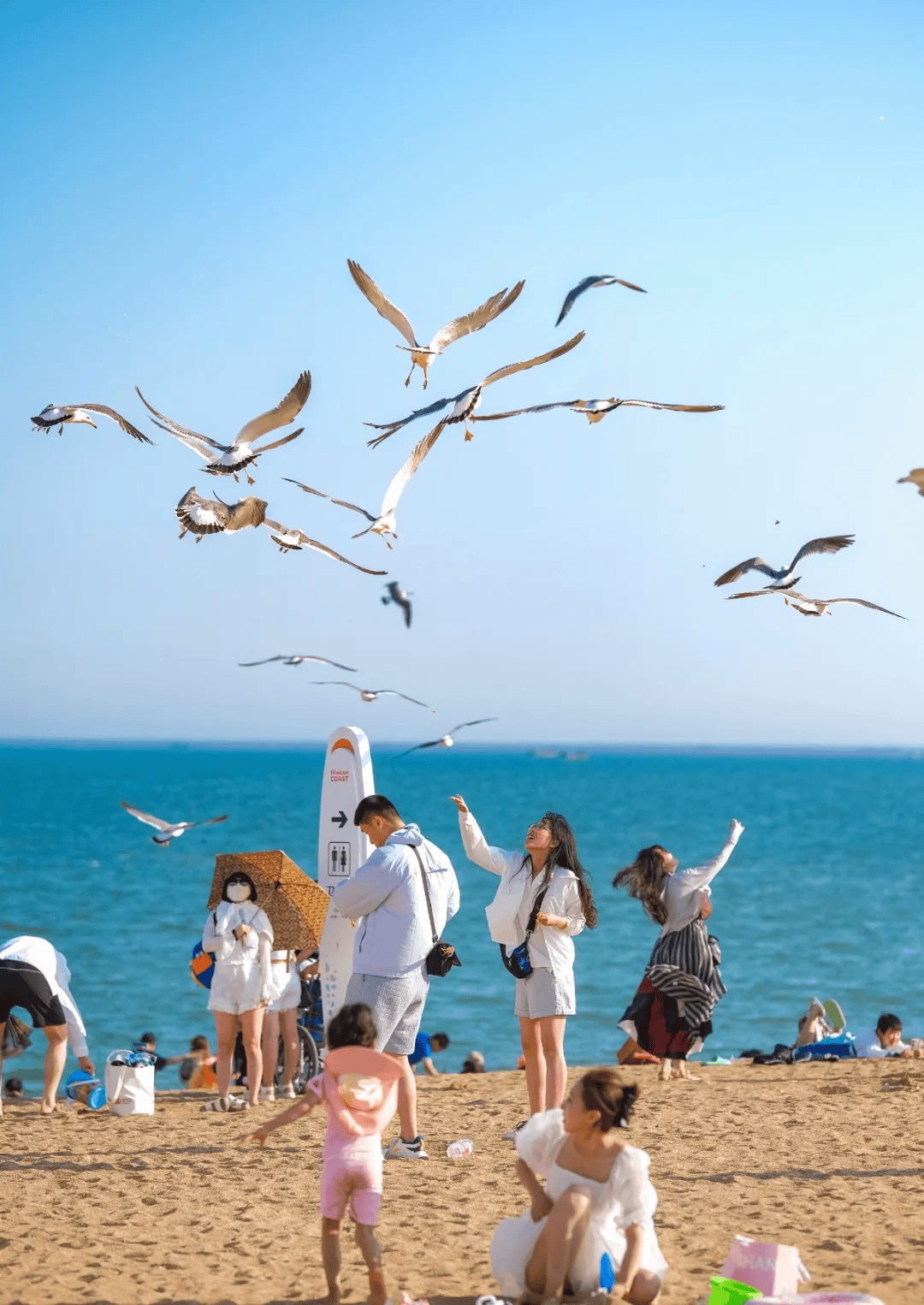 踏春寻梦,不负时光,小长假来大连金石滩上春山!